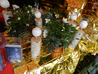 DSCN5601.JPG